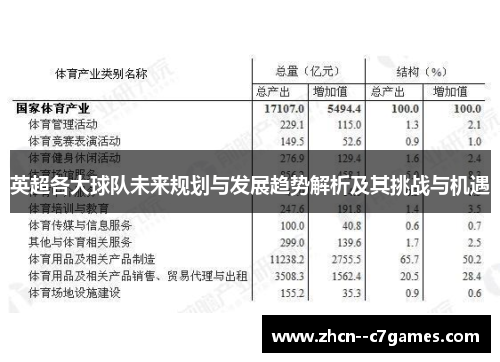 英超各大球队未来规划与发展趋势解析及其挑战与机遇